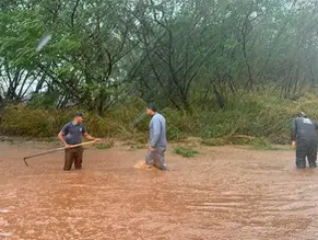 Prefeitura faz força-tarefa para recuperar estragos em Campo Grande após temporal