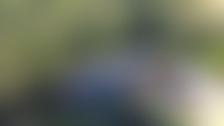 Referência nacional: Dourados alcança a universalização do saneamento básico com oito anos de antecipação