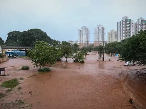 O Mercado de Seguros em Mato Grosso do Sul Diante do El Niño de 2026