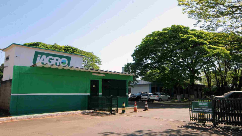 Iagro autoriza 19 agrotóxicos e amplia uso de defensivos em lavouras de Mato Grosso do Sul