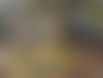 VÍDEO: carregando bandeira do Brasil, homem furta churrasco no Santa Luzia durante jogo