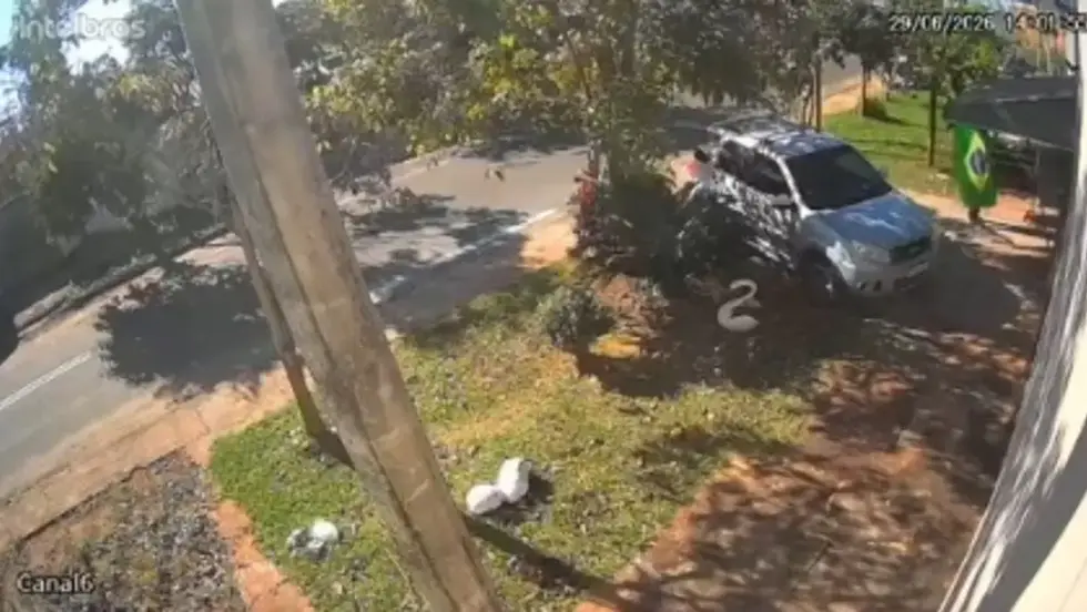 VÍDEO: carregando bandeira do Brasil, homem furta churrasco no Santa Luzia durante jogo