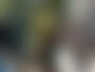 Quase meio milhão de professores atingem desempenho necessário na PND