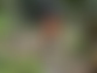 FICCO/TBA e FICCO/AM participam de operação internacional contra o narcotráfico no Peru