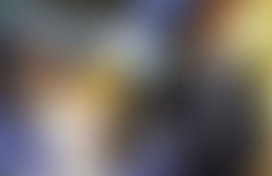 Esposa de Eduardo Bolsonaro rebate Nikolas Ferreira nas redes sociais