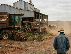 Com disparada de recuperações judiciais, banco de Vorcaro afundou gigantes do agro em MS
