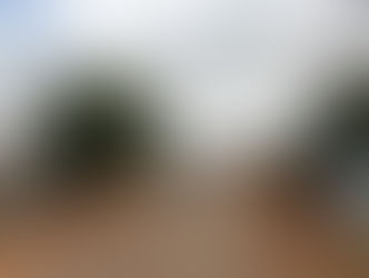 Homem mata o próprio pai com tiro na cabeça no Jardim Columbia