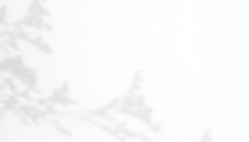 Schermafbeelding 2023-09-20 om 10.23_edited.jpg