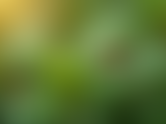 Discover Safe and Sustainable Pest Control Methods