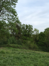 Forêt comestible avant 1.png