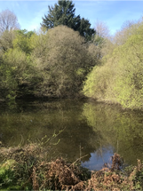 Etang avant 2.png