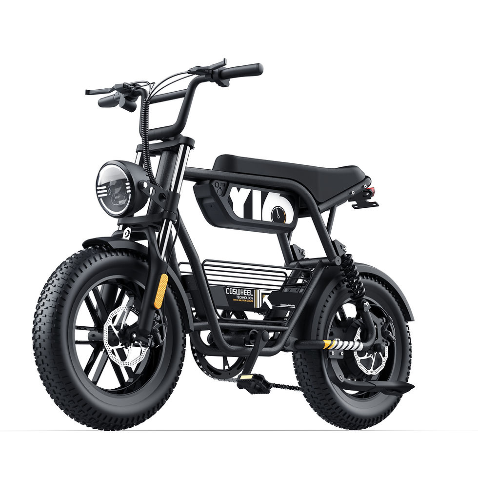 Miniature : COSWHEEL Y16