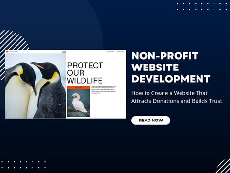Non-Profit Website Development: How to Create a Website That Attracts Donations and Builds Trust