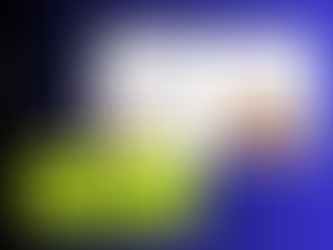 Build a Quick Pet Store and Pet Care Website in Wix