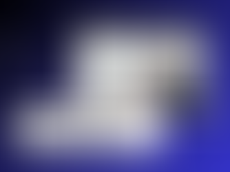 Wix SEO Expert Company