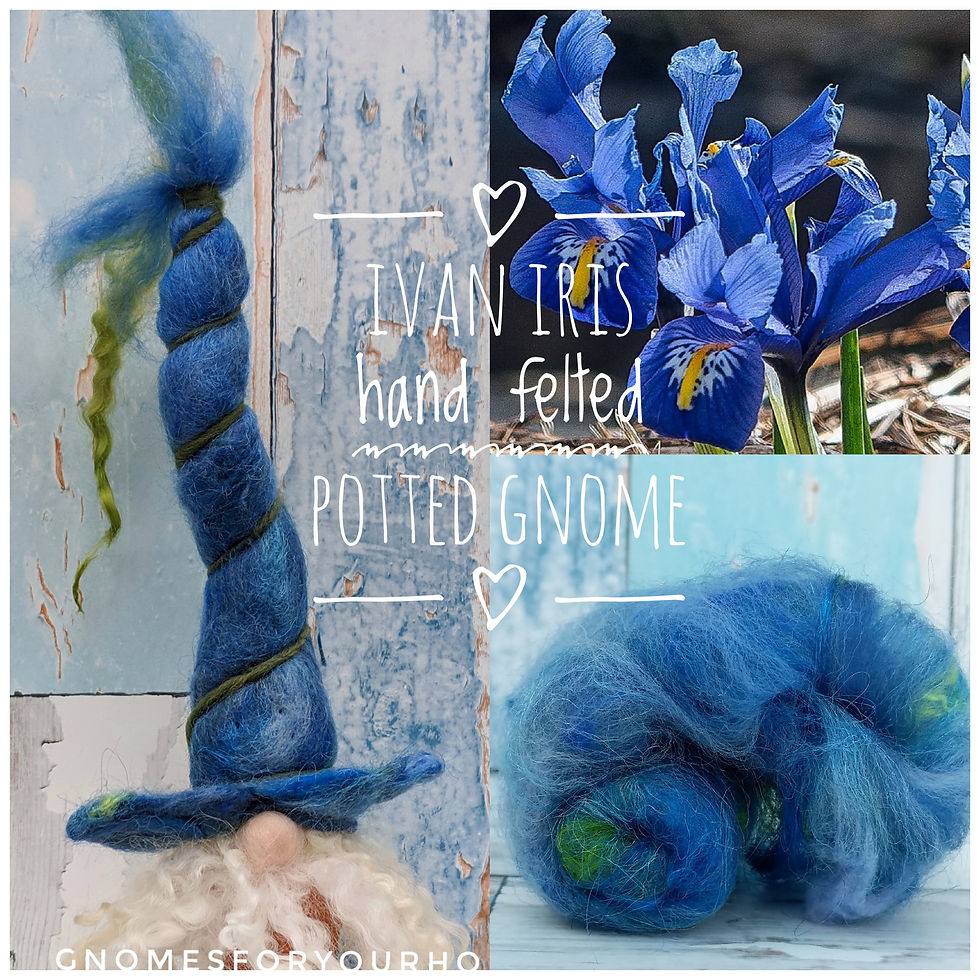 Felted gnome, Ivan Iris