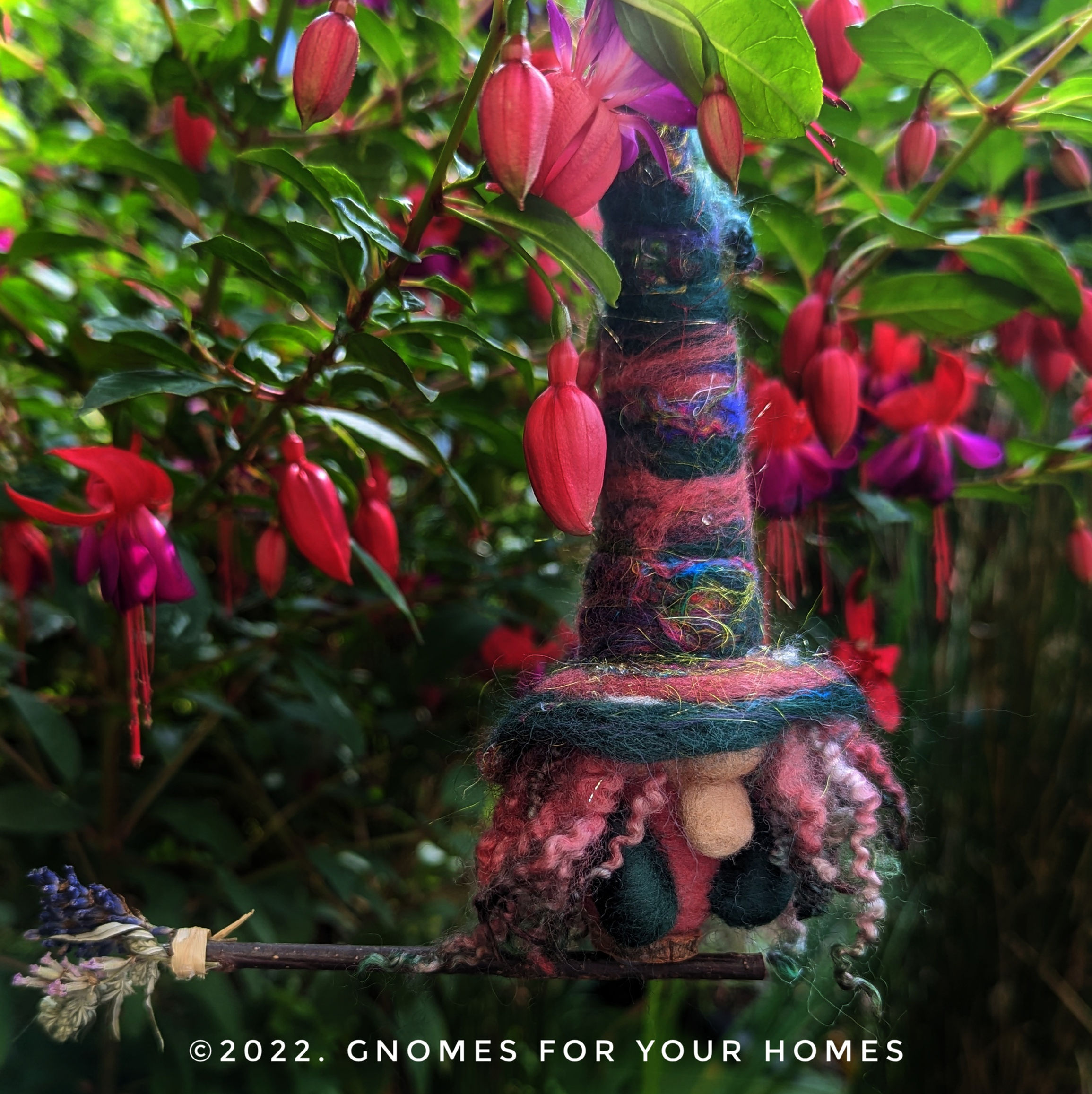 Olga of the Orchard, Gnome Witch