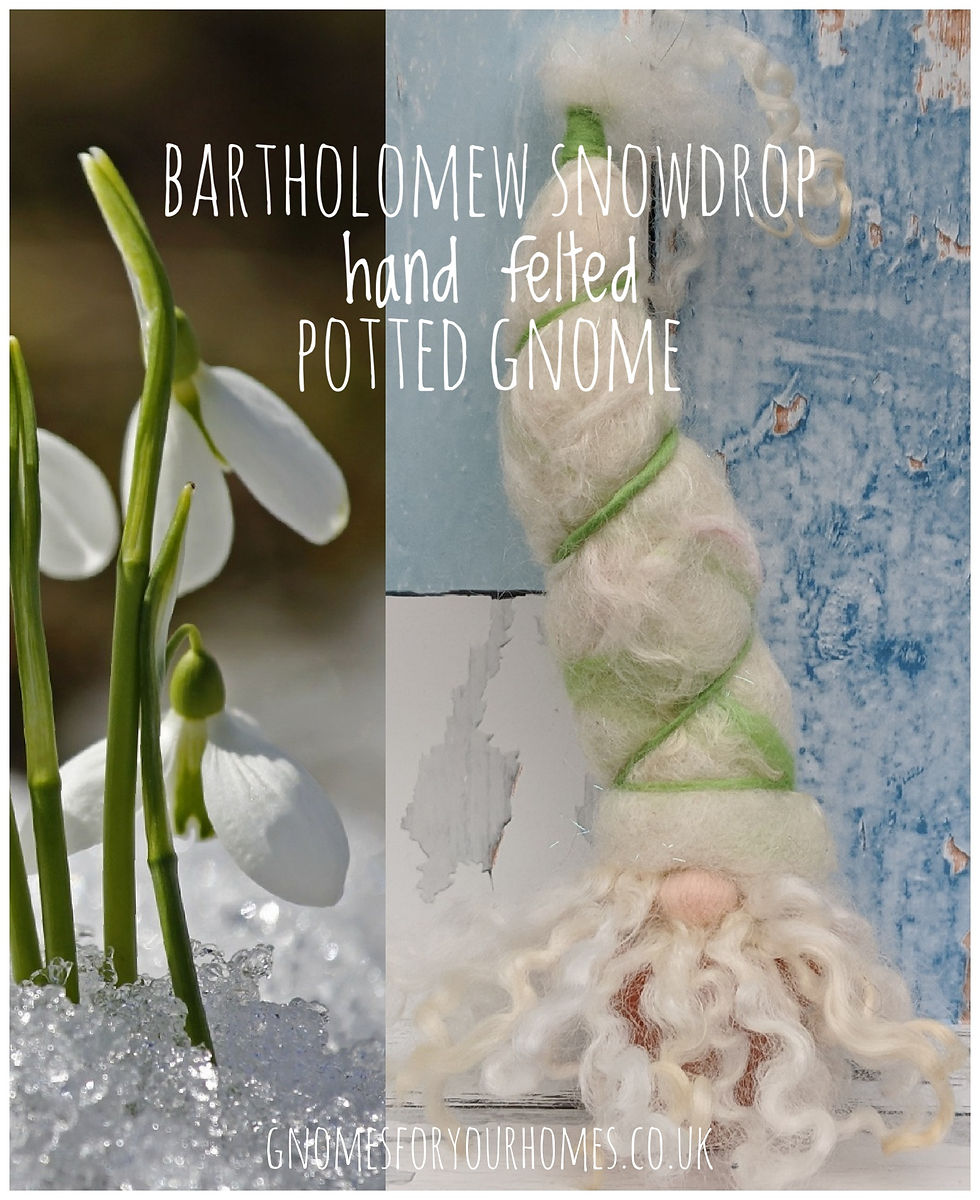 Felted gnome, Bartholomew Snowdrop