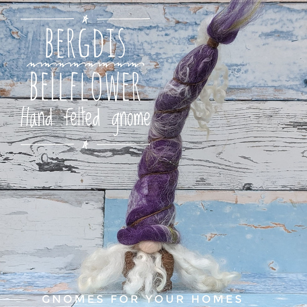 Bergdis Bellflower