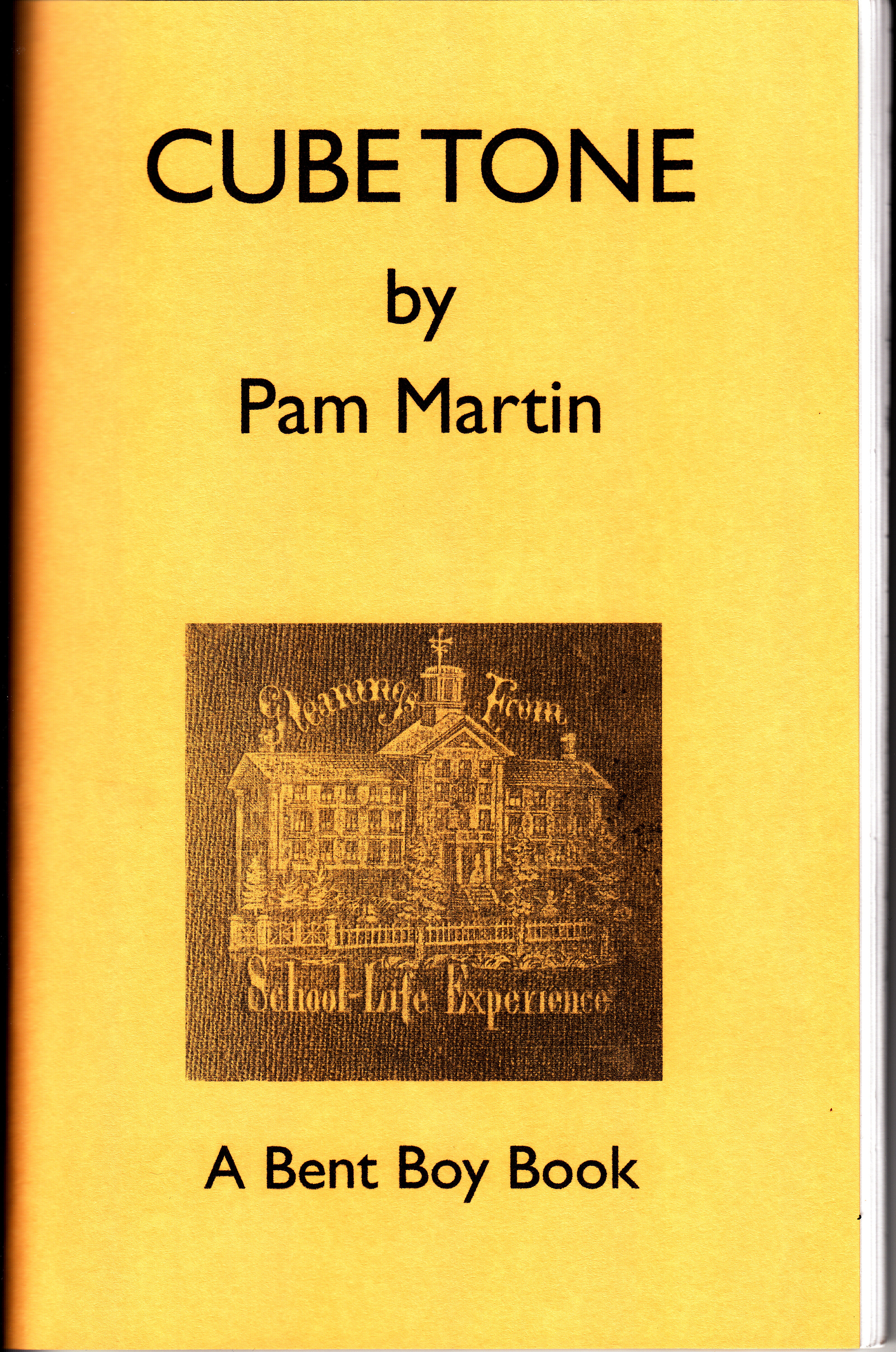 CUBE TONE by Pam Martin