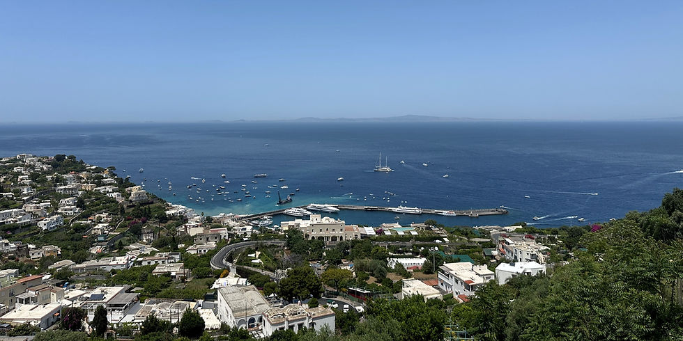 Views over Capri harbour from the top of the Funicular railway