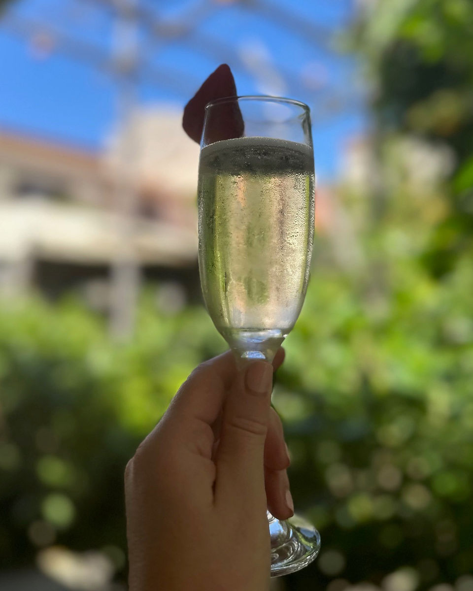 A glass of prosecco held up under the shade of a lemon tree