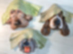 Three dog head sculptures in clay under blankets by Alie Beck