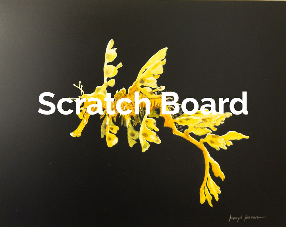 Scratch Board Art