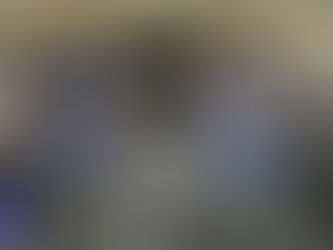 Veja notícias sobre os seis casos de chikungunya em militares brasileiros vindos do Haiti