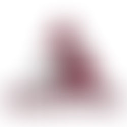 Comando de Saúde Pública do Exército dos Estados Unidos