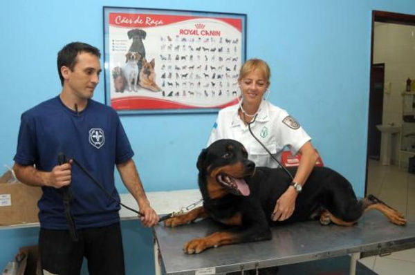 Capitão Priscila Naurath realiza atendimento clínico no BAC (Fonte: Imprensa Oficial RJ)