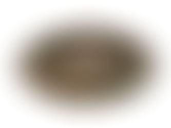 Veja vídeos das seções de cães de guerra do Exército Brasileiro