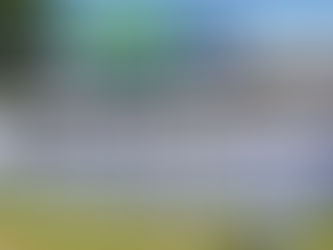 Abertas inscrições para médico veterinário temporário na Marinha do Brasil no estado de São Paulo