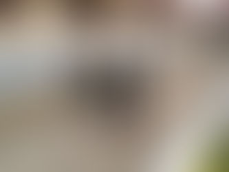 Veja as fotos da comemoração do dia da Medicina Veterinária Militar na Academia Militar das Agulhas