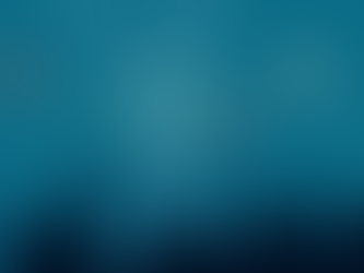 Os números de 2012 do blog Medicina Veterinária militar