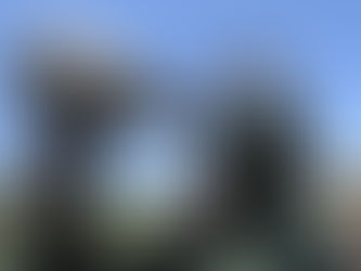 Veja artigo sobre o médico veterinário e as armas biológicas!