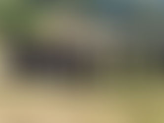 Veja as comemorações do dia da Medicina Veterinária Militar no Campo de Instrução de Juiz de Fora