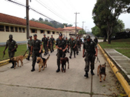 Seção de Cães de Guerra da Academia Militar das Agulhas Negras apoia Estágio de Adestrador de Cães