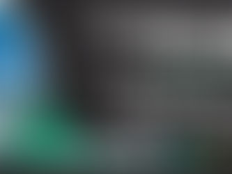 Veja palestra sobre condicionamento de cães de trabalho!