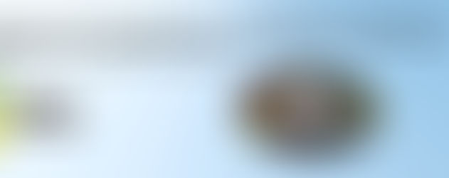 Exército regula mestrado e doutorado para médicos veterinários militares