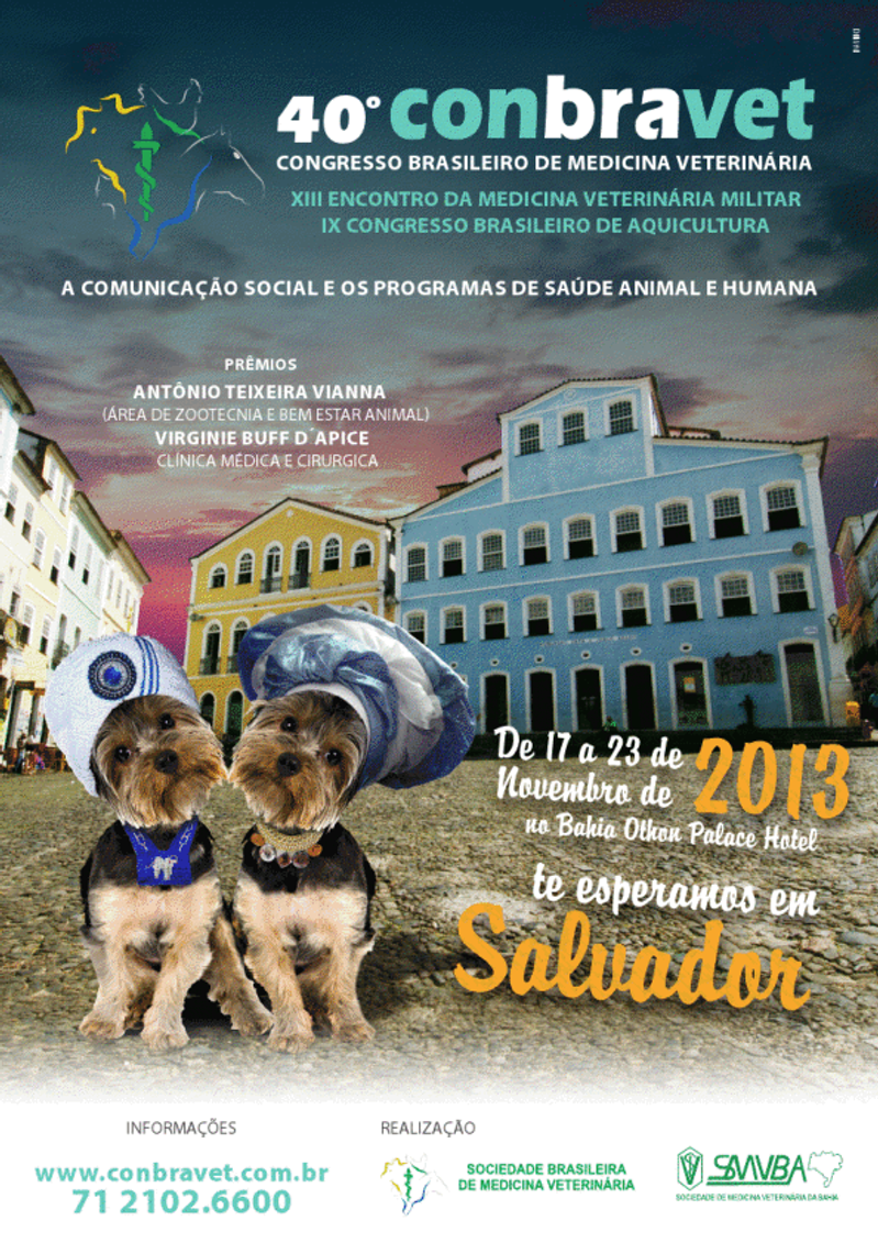 Cartaz Conbravet 2013