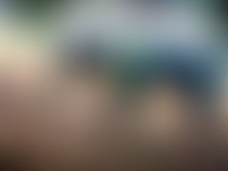 Vejar artigo de revisão sobre cães detectores de rastros de animais!