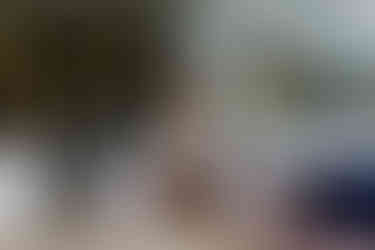 Smiling white woman in a white blouse and brown vest sits at a wooden table in a cozy kitchen. Plants and patterned walls in the background. Professional headshots Brighton