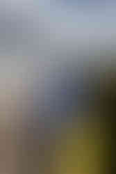 Professional headshots Brighton