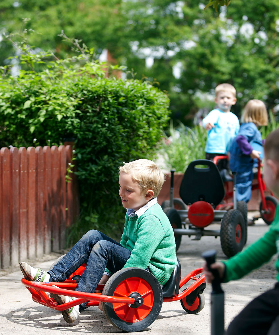 Miniature : Swingcart™