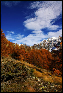 Foto viaggi, natura, Filippo Salmè©