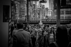 Through Tokyo