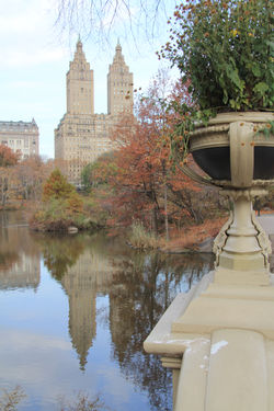 New York 2013