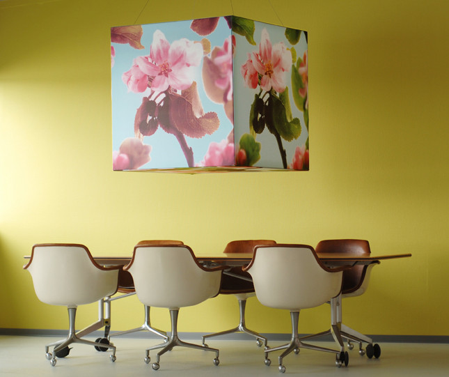 mooia acoustic cube C preview.jpg