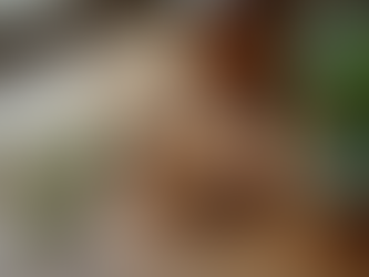 Enhancing Your Immune System Naturally with Acupuncture and Herbal Remedies